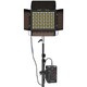 Par Light PL120V