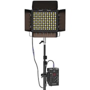 Par Light PL120V