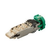 プチコールプロ15・18兼用日付カセット PTPK-1518