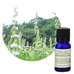 フレーバーライフ エッセンシャルオイル 薄荷 10mL(日本の精油)