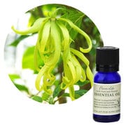 フレーバーライフエッセンシャルオイル イランイラン 10mL