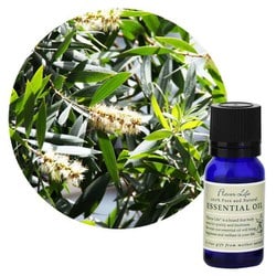 フレーバーライフエッセンシャルオイル カユプテ 10mL