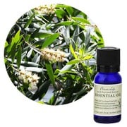 フレーバーライフエッセンシャルオイル カユプテ 10mL