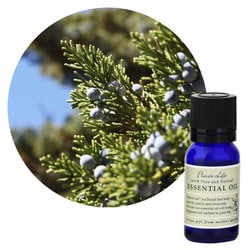 フレーバーライフエッセンシャルオイル シダーウッド・バージニア 10mL