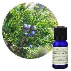 フレーバーライフエッセンシャルオイル ジュニパーベリー 10mL