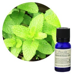 フレーバーライフエッセンシャルオイル スペアミント 10mL