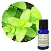 フレーバーライフエッセンシャルオイル スペアミント 10mL