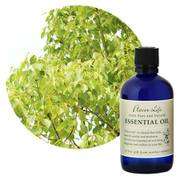 フレーバーライフエッセンシャルオイル ホーリーフ 100mL