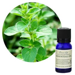 フレーバーライフエッセンシャルオイル マジョラムスイート 10mL