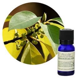 フレーバーライフエッセンシャルオイル メイチャン(リツェアクベバ) 10mL