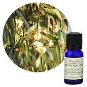 フレーバーライフエッセンシャルオイル ユーカリ・グロブルス 10mL