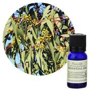 フレーバーライフエッセンシャルオイル ユーカリ・ラディアータ 10mL