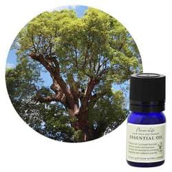 フレーバーライフエッセンシャルオイル ラヴィンサラ 3mL