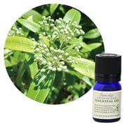 フレーバーライフエッセンシャルオイル レモンマートル 3mL