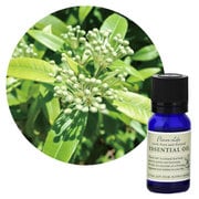 フレーバーライフエッセンシャルオイル レモンマートル 10mL