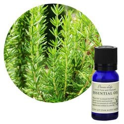 フレーバーライフエッセンシャルオイル ローズマリー 10mL