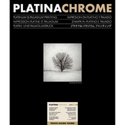 ILFORD PLATINUMCHROME TE-WASHI ICHIBEI A4 10枚 手漉き和紙 市兵衛 433421