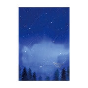 空時間ポストカード 真夜中の森 SOP06