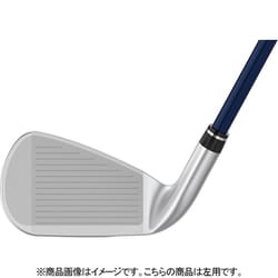 XXIO（ゼクシオ）12 アイアン5番 kasukawa_go-xxio12ir-bl