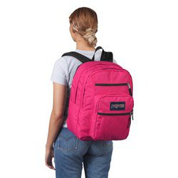 ヨドバシ.com - JANSPORT ジャンスポーツ JS0A47JK69J [BIG STUDENT