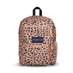 ヨドバシ Com Jansport ジャンスポーツ Js0a47jk7l0 Big Student ビッグスチューデント ピンクパーティーキャット 通販 全品無料配達