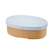 やさしい彩り 小判弁当箱 みず色 抗菌 日本製 レンジ・食洗機対応(中蓋除く) [弁当箱 475ml]