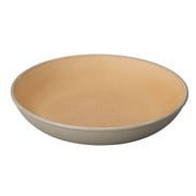 ラウンドプレート earth color 抗菌 ラウンドプレート Mサイズ グレー 日本製 レンジ・食洗機対応 食器 皿