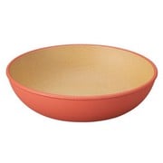 ラウンドプレート earth color 抗菌 ラウンドプレート Sサイズ レッド 日本製 レンジ・食洗機対応 食器 皿