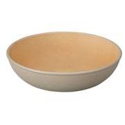 ラウンドプレート earth color 抗菌 ラウンドプレート Sサイズ グレー 日本製 レンジ・食洗機対応 食器 皿