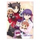 Fate/stay night [Heaven’s Feel] B2ポスター 遠坂凛×間桐桜 [キャラクターグッズ]