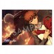 Fate/stay night [Heaven’s Feel] B2ポスター 衛宮士郎×アーチャー [キャラクターグッズ]