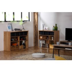 アイリスオーヤマ Amazon.co.jp: アイリスオーヤマ マットグレー 猫 2段グレー