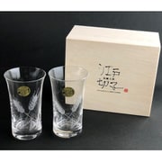 江戸切子 麦酒ペアセット