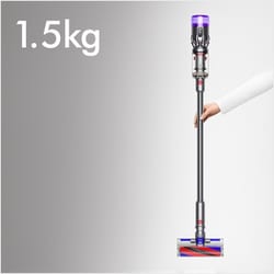 dyson SV21 FF ENT SILVER