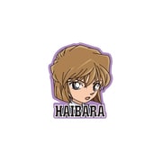 SH1016 キャラクターステッカー 名探偵コナン 灰原哀 [キャラクターグッズ]