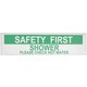 デコサインステッカー ワイド SAFTY FIRST DE051345