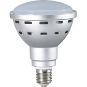 ハタヤ 45WLED電球 LDR45N-H110