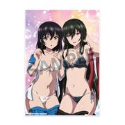 ストライク・ザ・ブラッドFINAL ビジュアルアクリルプレート 姫柊雪菜＆妃崎霧葉 [キャラクターグッズ]