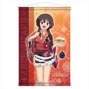 この素晴らしい世界に祝福を！ 描き下ろし B2タペストリー めぐみん [キャラクターグッズ]