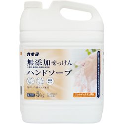 無添加せっけんハンドソープ 香料・着色料・防腐剤無添加 詰替 5kg [ハンドソープ]