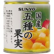 国産五種の果実 295g