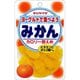 ヨーグルトで食べようみかん 150g