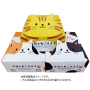 今日のねこもよう 8個入