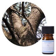 クイーンメリー オーガニックエッセンシャルオイル シダーウッド・アトラス 5mL