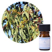 クイーンメリー オーガニックエッセンシャルオイル ユーカリ・ラディアータ 5mL