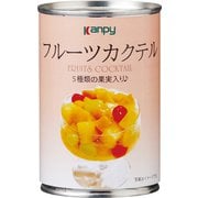 フルーツカクテル420g