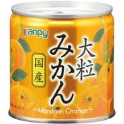 国産大粒みかん 190g
