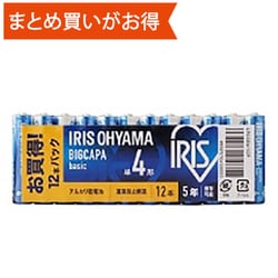 アルカリ乾電池 BIGCAPA basic 単4形12本パック LR03Bb/12P
