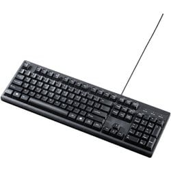 キーボード 有線 PS/2 テンキーあり メンブレン 英語配列（US） Windows ブラック SKB-E5PBK