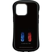 WMT-03B [iPhone 13 Pro 用 ハイブリッドクリアケース マトリックス レザレクションズ Bタイプ]